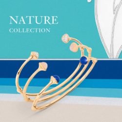 Nature Collection